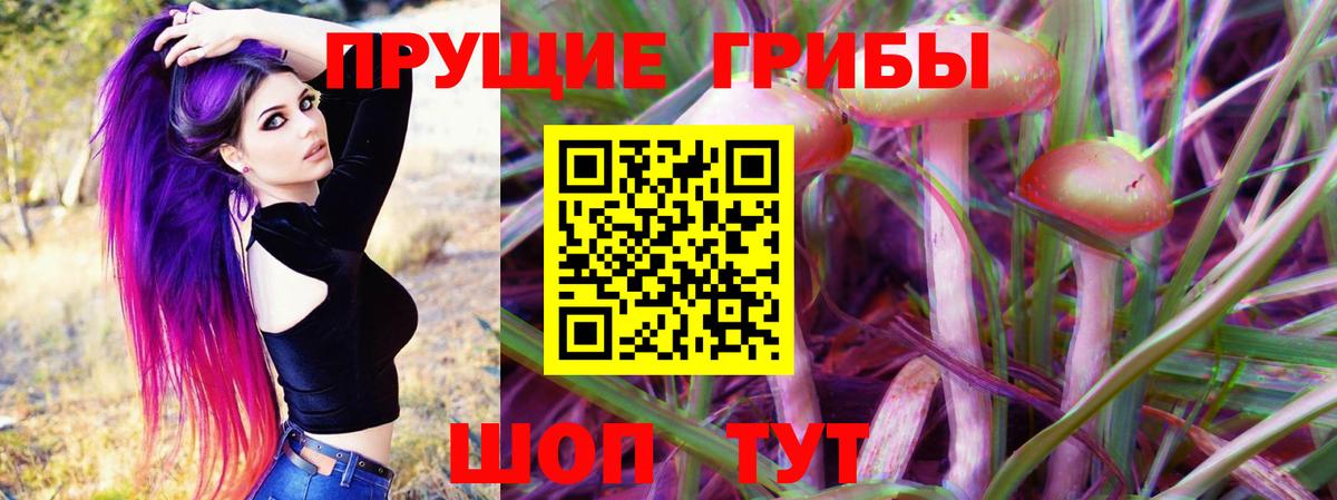 где можно купить наркотик  Вход с VPN  Дальнереченск  Псилоцибиновые грибы прущие грибы 