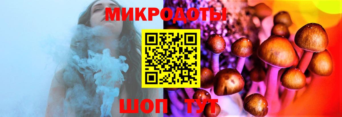 Галлюциногенные грибы мухоморы Дальнереченск